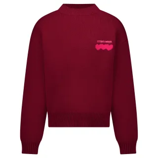 Cars Jeans - Pullover Nyca jr. burgundy - Gr. - 10