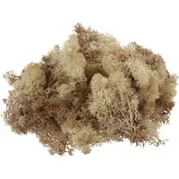 VBS Moos Island, 100 g