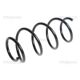Triscan Feder vorne Hyundai I10 875043140