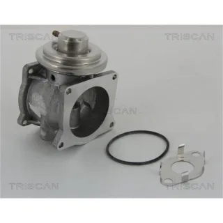 Triscan AGR-Ventil VW Phaeton Touareg 5,0