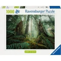 Ravensburger Puzzle power of nature, Faszinierender Wald, 1000 Puzzleteile, Made in Germany