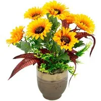 Gestecke Sonnenblumen Sonnenblume, I.GE.A., Höhe 40 cm, Im Topf aus Keramik