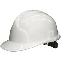 Reis Schutzhelm Schutzhelm Bauhelm Helm Arbeitshelm Farbwahl NEU!