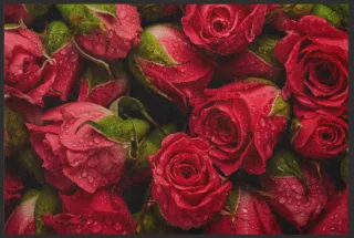 Fussmatte Rote Rosen 4619 | Größe: 60 cm x 45 cm