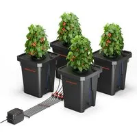 Spider Farmer Bewässerungssystem Spider Farmer Tiefwasserkultur (DWC) Hydroponik-System, (Komplettset inklusive Belüftung und Bewässerung), DWC System mit Top Drip Bewässerung für 4 Pflanzen