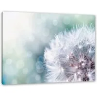 Pixxprint Leinwandbild Zauberhafte Pusteblume, Zauberhafte Pusteblume (1 St), Leinwandbild fertig bespannt, inkl. Zackenaufhänger