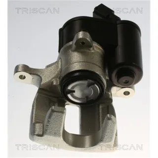 Triscan Bremssattel hinten links Audi A6 C6