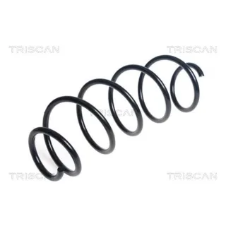 Triscan Feder vorne Citroen C3 875028296