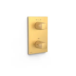 Tres Sichtbares Teil für 2 Wege Unterputzgehäuse Therm box , 21125001OM 21125001OM
