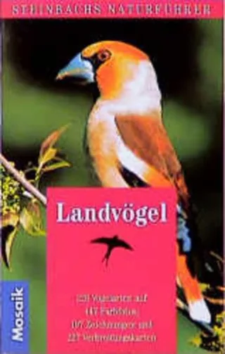 Landvögel