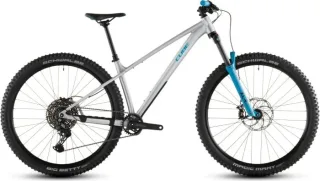 Cube Reaction TM One MTB-Hardtail Diamant 29" rawmetal'n'blue M | Dienstrad-Leasing möglich