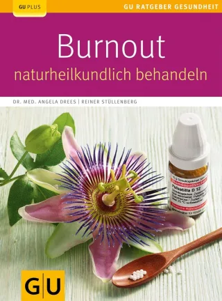 Burnout naturheilkundlich behandeln [Taschenbuch] [2013] Drees Angela Stüllenberg Reiner