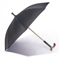 HAC24 Gehstock Spazierstock Gehhilfe, mit integriertem Regenschirm