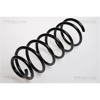 Triscan Feder vorne VW Bora Golf 4