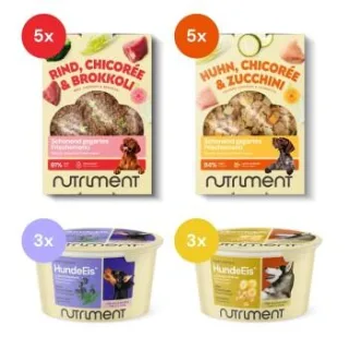 Nutriment Frischemenü Rind & Huhn 10x400g mit Hundeeis 6x90ml