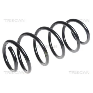 Triscan Feder vorne VW Polo 9N 875029306