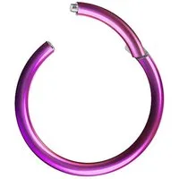 Taffstyle Nasenpiercing Clicker Ohr Universal Piercing Titan G23 oder Chirurgenstahl (Vielseitiger Segmentring aus Titan oder Chirurgenstahl in vielen Farben und Größen), Scharnier Klicker für Septum Ohr Nase Lippe