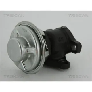 Triscan AGR-Ventil Hyundai H-1 Kia Sorento 2,5 881343022