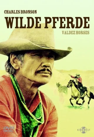 Wilde Pferde - Valdez Horses