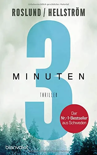Drei Minuten: Thriller (Piet Hoffmann Band 2)