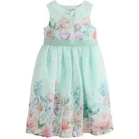 Next Tüllkleid Festliches Kleid mit floralem Muster (1-tlg)