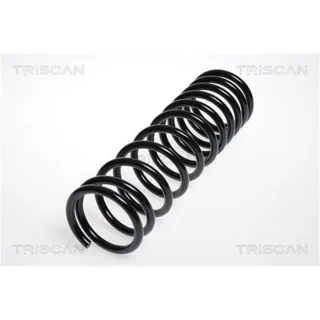 Triscan Feder hinten VW Golf Jetta