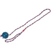 Karlie Outdoor-Spielzeug Gummiball mit Seil