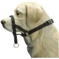 Beeztees Hunde-Erziehungsgeschirr Nasenband Dog Control schwarz