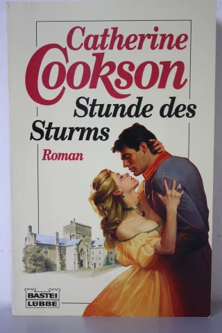 Stunde des Sturms. Roman.