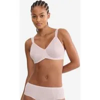 Rot