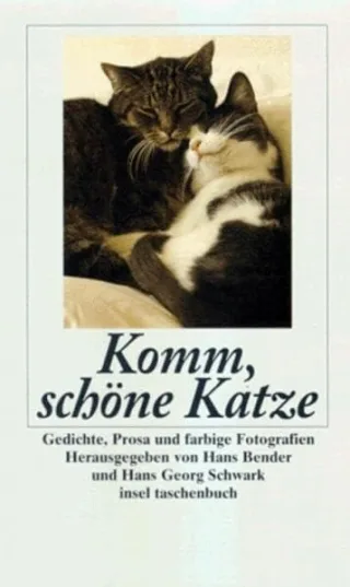 Komm schöne Katze