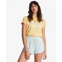 Billabong Shorts Road Trippin