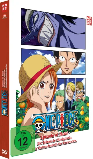 One Piece TV Special 2 - Episode of Nami [DVD] [2016]