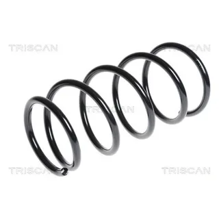 Triscan Feder hinten Suzuki Liana 1,6