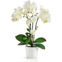 Kunstorchidee PASCH® Orchidee künstlich wie echt (46cm) in Hochglanz-Keramiktopf Orchidee, PASCH, Real Touch