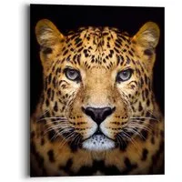 Reinders! Wandbild Wandbild Leopard Kräftig - Panther - Raubetier - Gefleckt, Leopard (1 St)