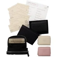 BeginnerBudget Mini Geldbörse Budget Portemonnaie Damen Geldbörse mit Kategorien zur Umschlagmethode (Set), Geldbörse zum Sparen, Perfekt für den Alltag