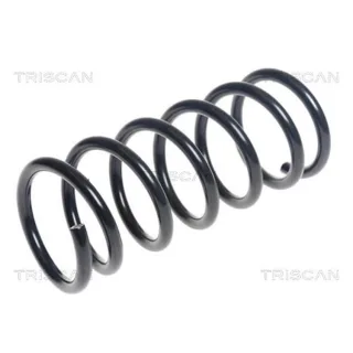 Triscan Feder hinten Fiat Panda 312 875015211