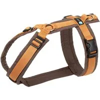 AnnyX Hunde-Geschirr Brustgeschirr Fun - gepolstert - superbequem, Nylon, bequemer Einstieg