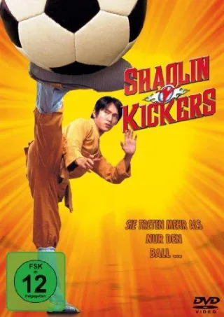 Shaolin Kickers [DVD] [2004]