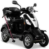 Rolektro Elektromobil Rolektro E-Quad 25 V.2, Blei-Gel-Akku, 1000 W, 25 km/h, (mit Topcase)