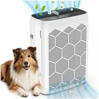 Teendow Luftreiniger Luftreiniger JH22C für Allergiker, H13 HEPA, CADR 260m³/h, PM2.5-Sensor, LED, Timer und Kindersicherung