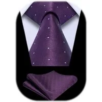 LuxusKollektion Krawatte Krawatte Herren Hochzeit Plaid Einstecktuch Set Business Lila