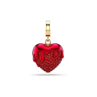 Swarovski Charm Global Collection 5742994