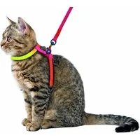 Kerbl Katzen-Geschirr Katzengeschirr RAINBOW 10 mm / mit Leine 120 cm