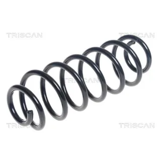 Triscan Feder hinten Ford Fiesta 6 875016119