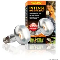 Exo Terra Terrarienleuchte Intense Basking Spot - Tageslichtlampe