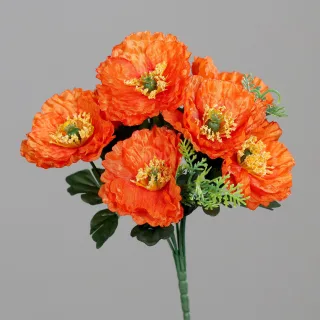 27 cm