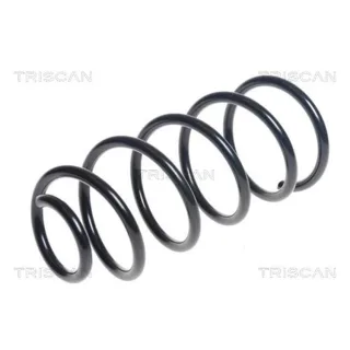 Triscan Feder hinten Fiat Punto 199