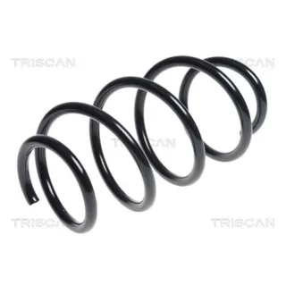 Triscan Feder Vorne Kia Sportage 2,0 87501876